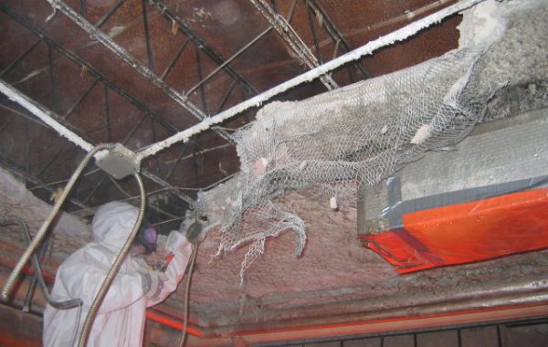 DESIGNATED SUBSTANCES AND HAZARDOUS MATERIALS MANAGEMENT